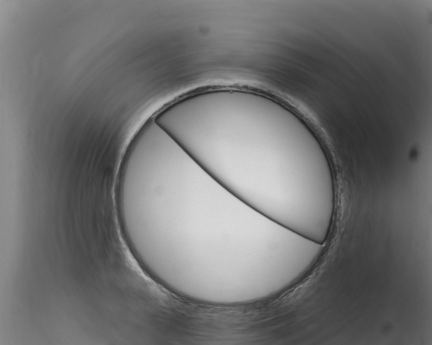 X0000116280943200911301038