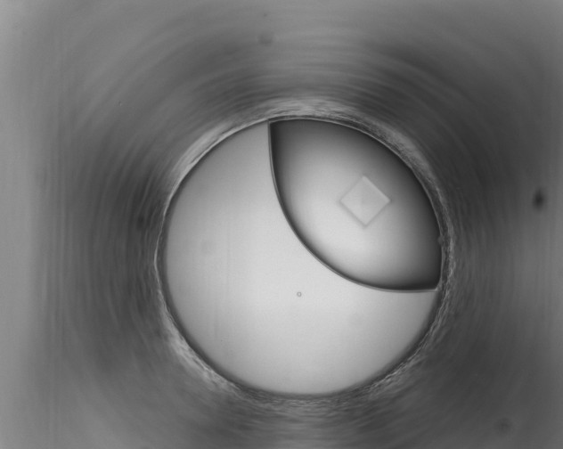 X0000116280946200911301038