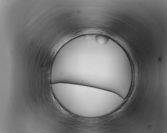 X0000116280953200911301038