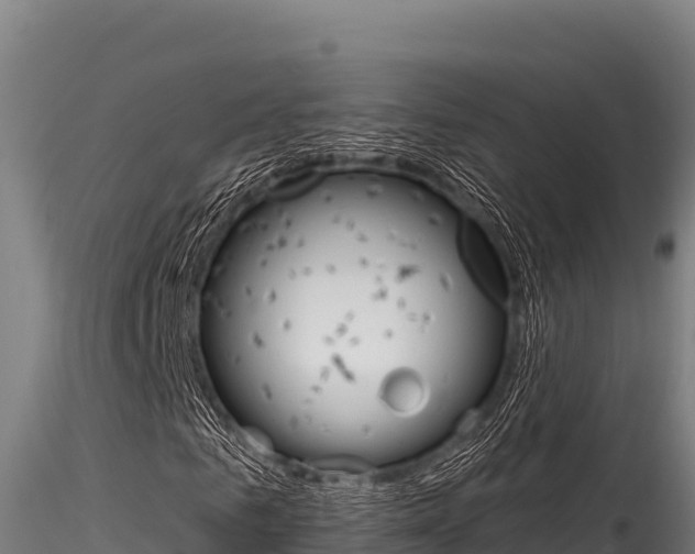 X0000116280961200911301037