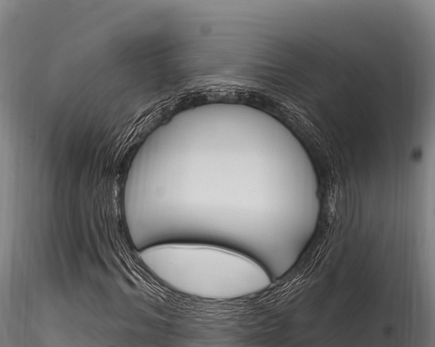 X0000116280964200911301037