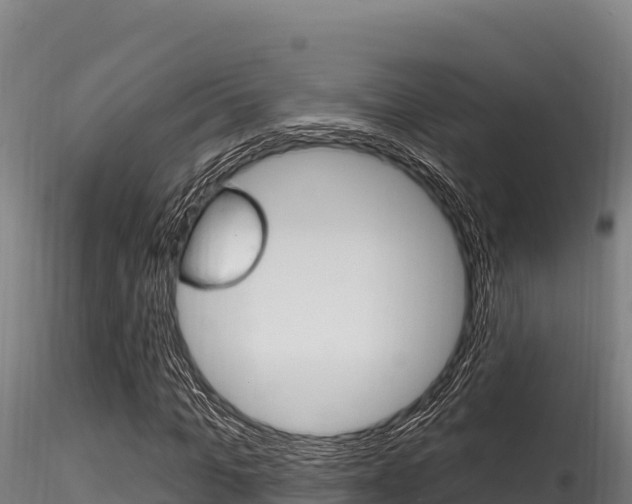 X0000116280965200911301037