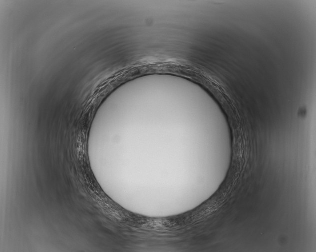 X0000116280966200911301037