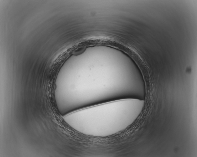 X0000116280967200911301037