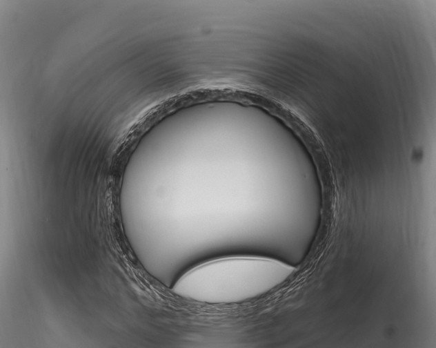 X0000116280968200911301037