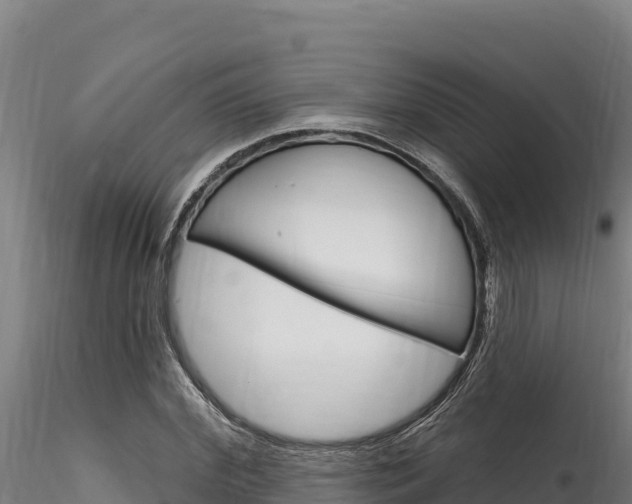 X0000116280972200911301037