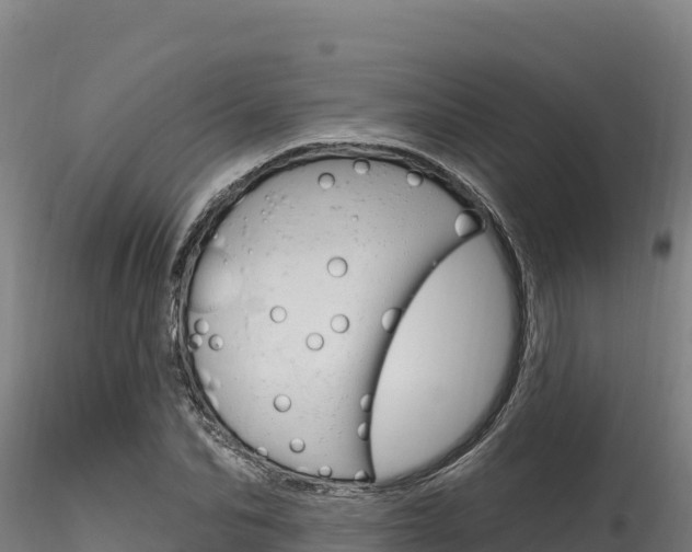 X0000116280974200911301037