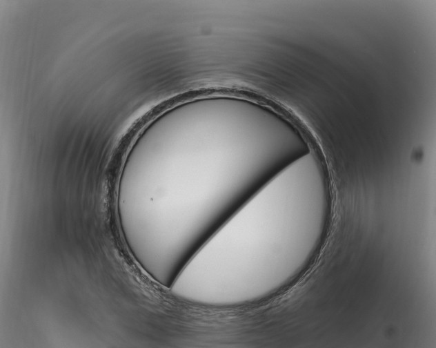 X0000116280975200911301037