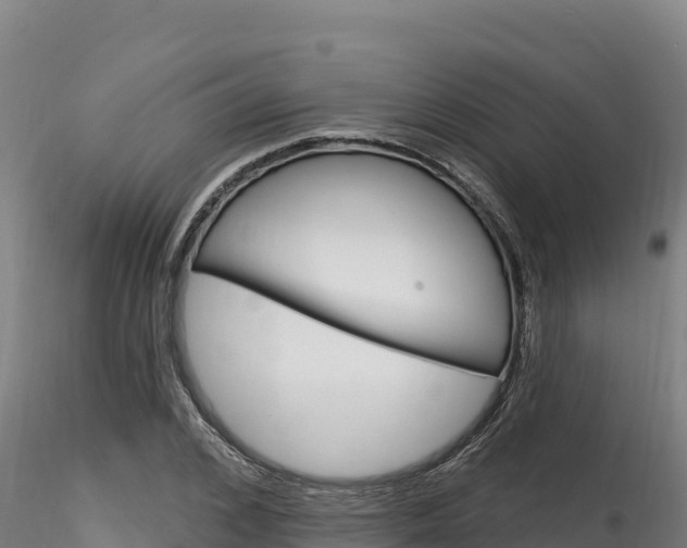 X0000116280976200911301037