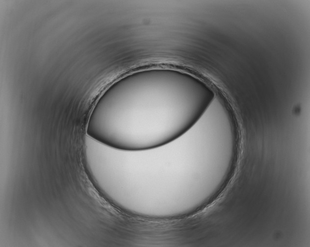 X0000116280977200911301037