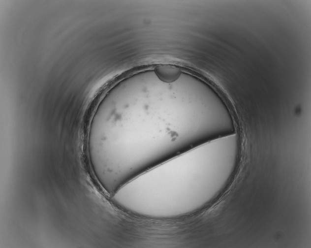 X0000116280979200911301037