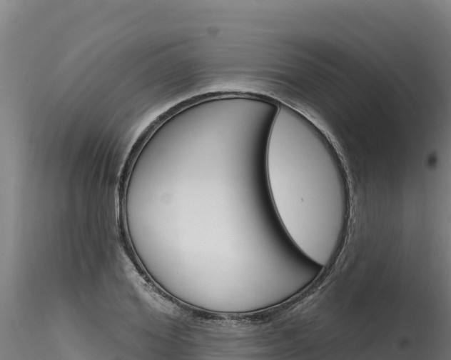 X0000116280980200911301037