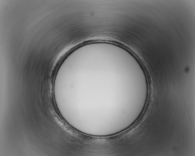 X0000116280982200911301037