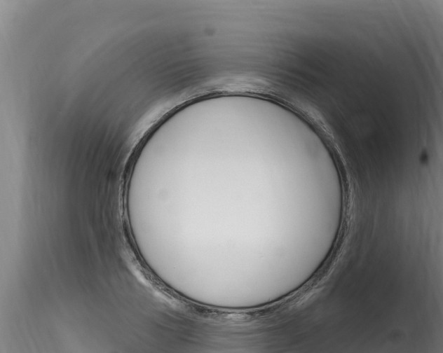 X0000116280986200911301037