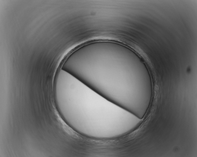 X0000116280988200911301037