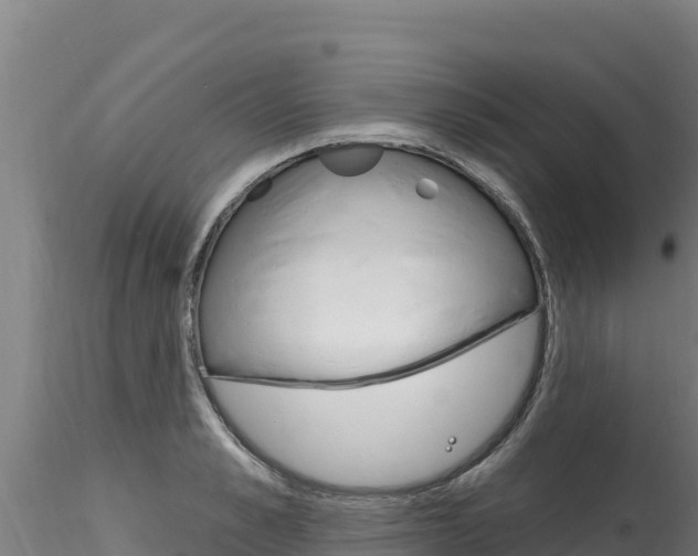 X0000116280989200911301037
