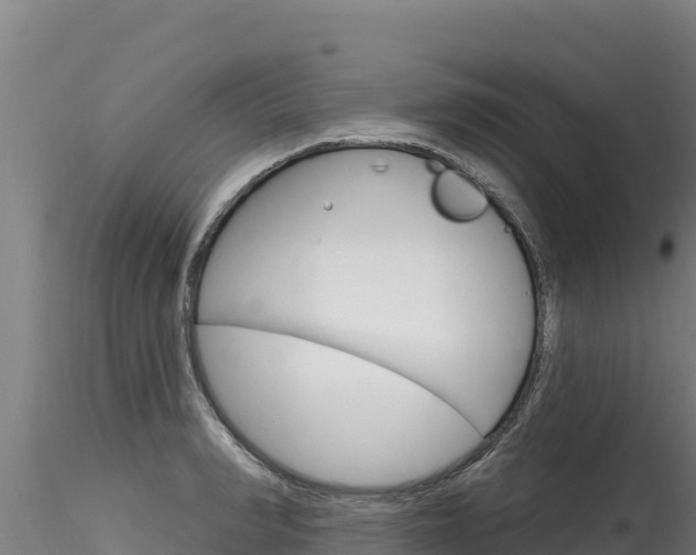 X0000116280990200911301037