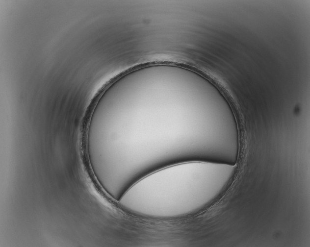 X0000116280991200911301037