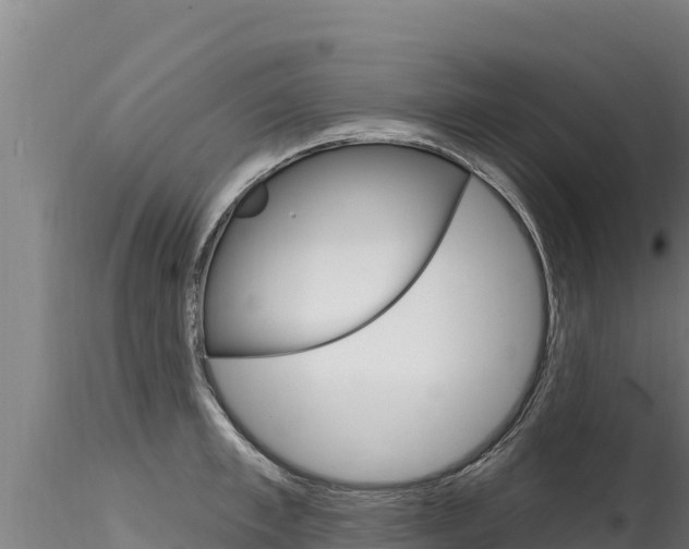 X0000116280997200911301036