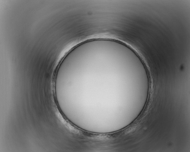 X0000116280998200911301036