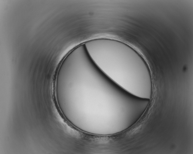 X0000116280999200911301036