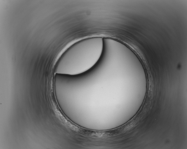 X0000116281000200911301036
