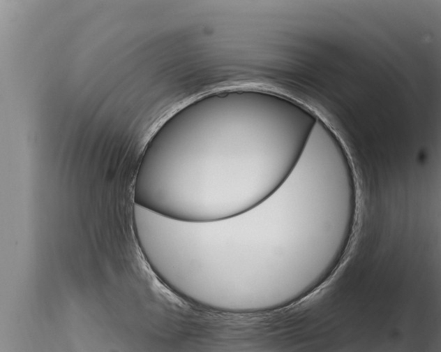 X0000116281001200911301036