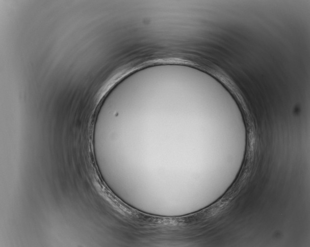 X0000116281002200911301036