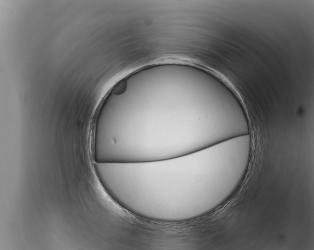 X0000116281003200911301036