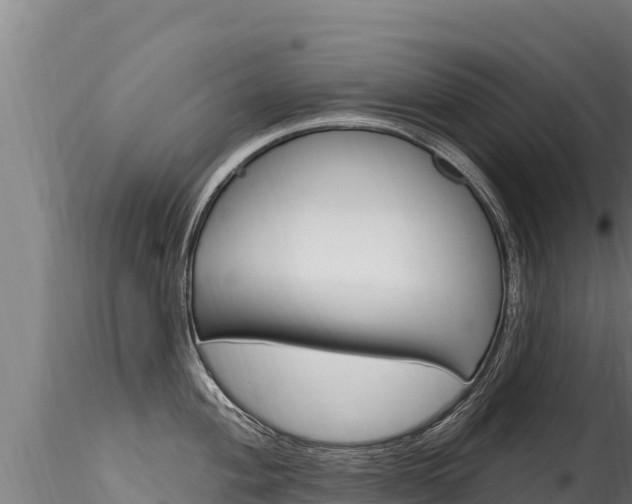 X0000116281004200911301036