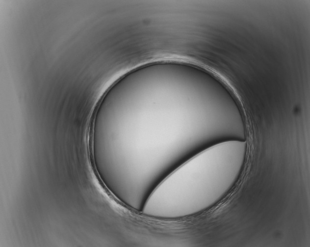 X0000116281007200911301036