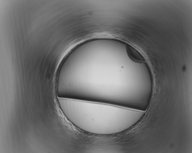 X0000116281008200911301036