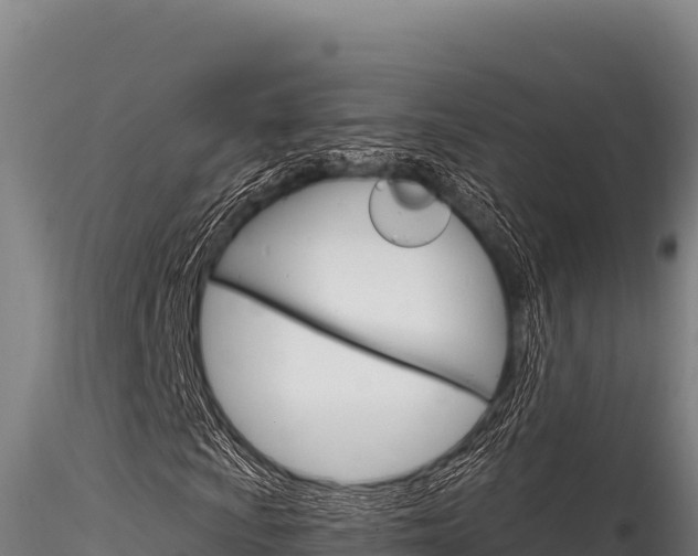 X0000116281009200911301035