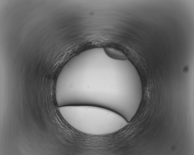 X0000116281012200911301036