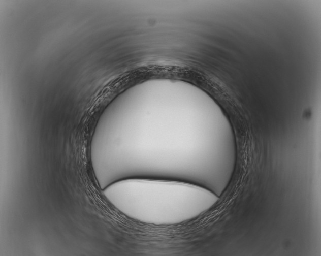 X0000116281013200911301036