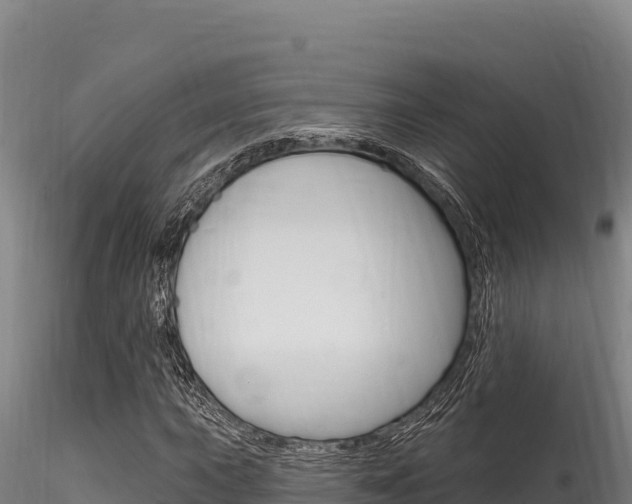 X0000116281015200911301036