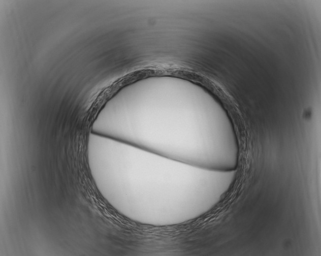 X0000116281016200911301036