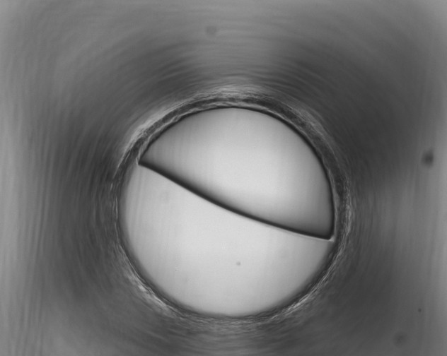 X0000116281018200911301036