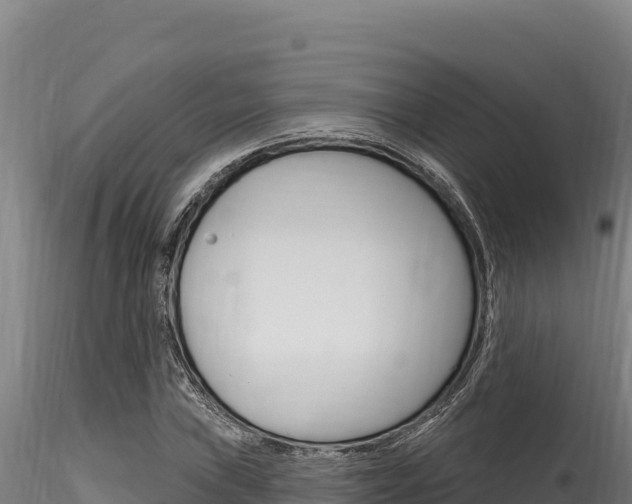 X0000116281019200911301036