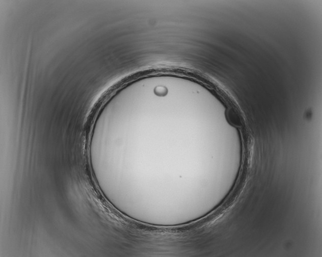 X0000116281021200911301036