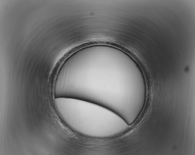 X0000116281022200911301036