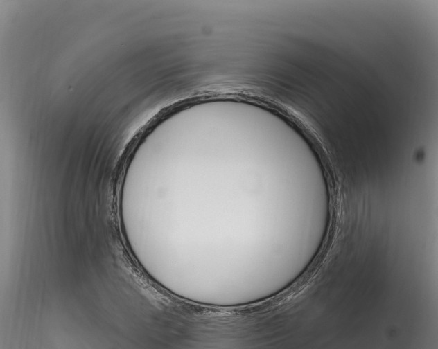 X0000116281023200911301036