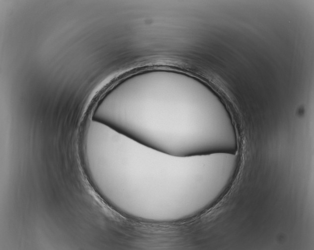 X0000116281024200911301036