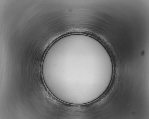 X0000116281025200911301036