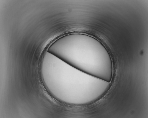 X0000116281026200911301036