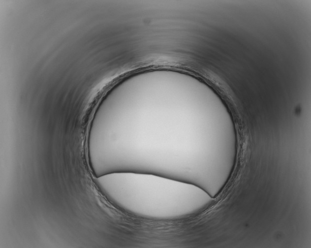 X0000116281027200911301036