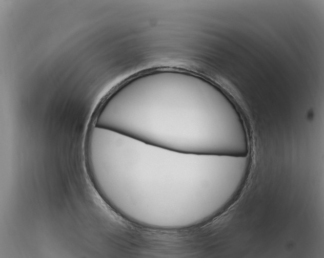 X0000116281028200911301036