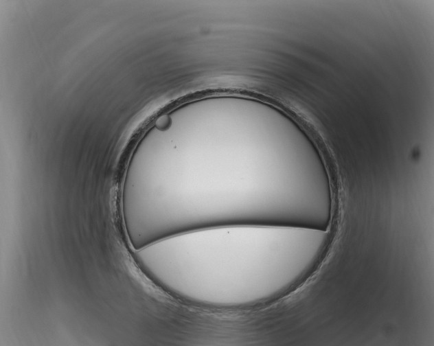 X0000116281029200911301036
