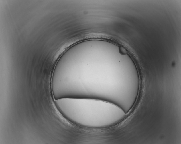 X0000116281033200911301036