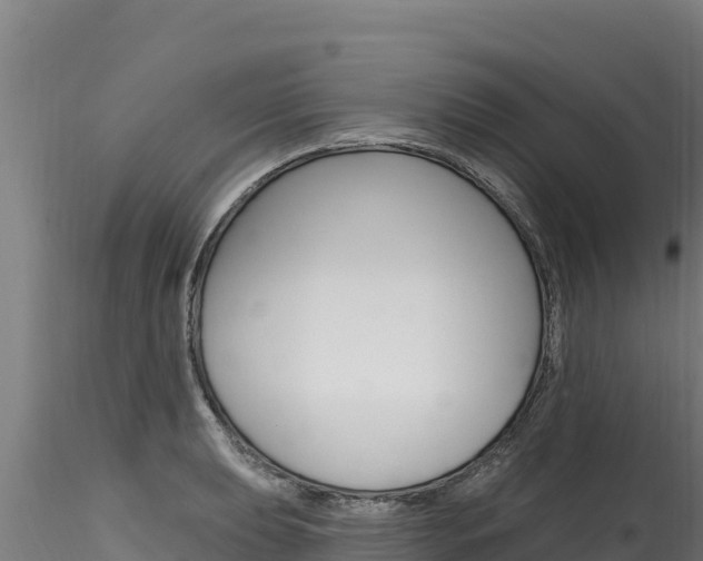 X0000116281039200911301036